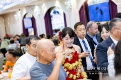 ALB_0842